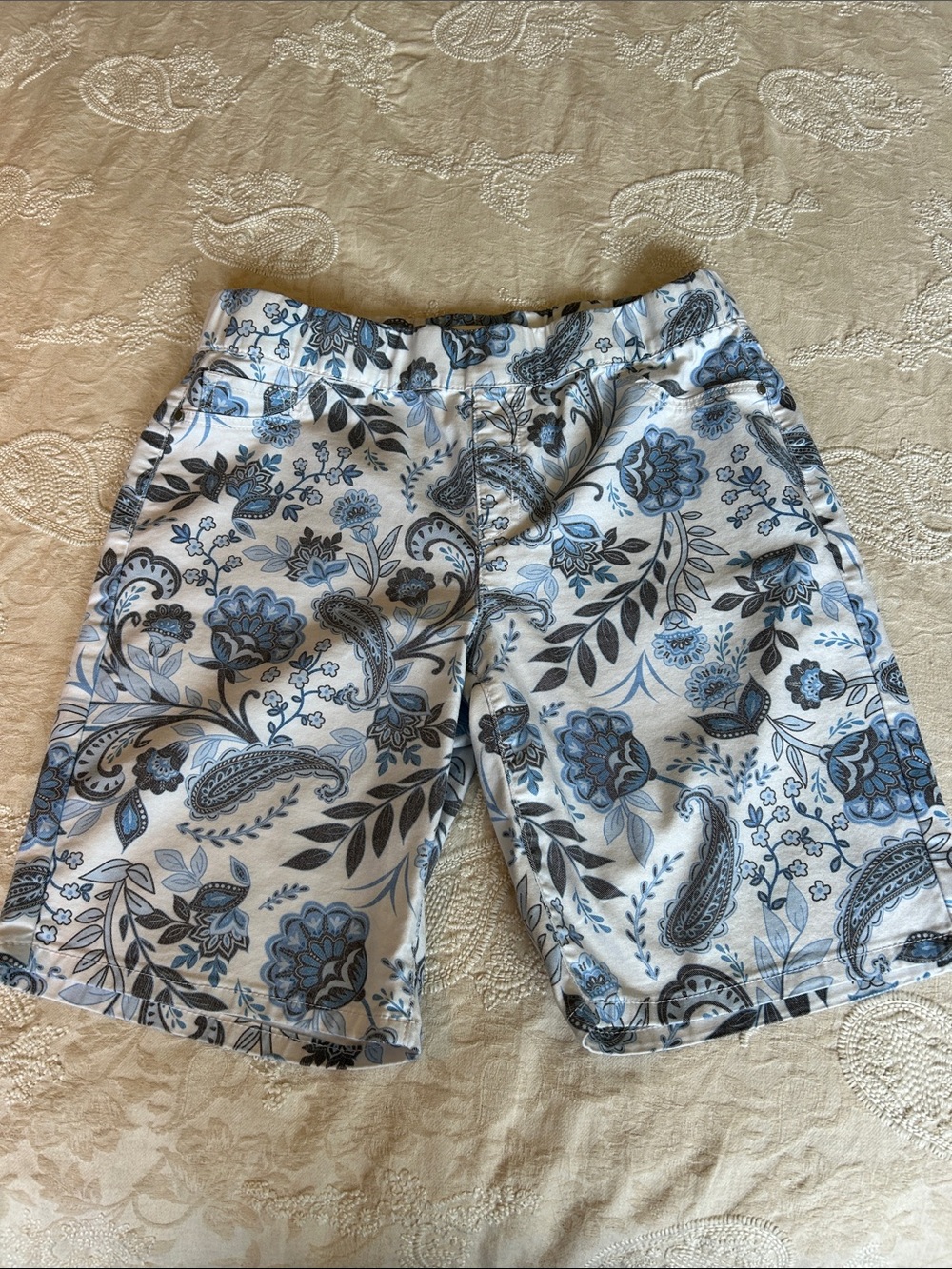 Floral Paisley Blue and Gray Casual Shorts
